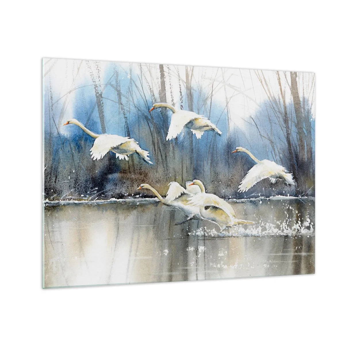 Obraz na skle - Divoké labutě létající nad klidným lesním jezerem - 70x50cm - Jako v povídce o divokých labutích - Moderní nástěnná dekorace do obývacího pokoje a ložnice ARTTOR