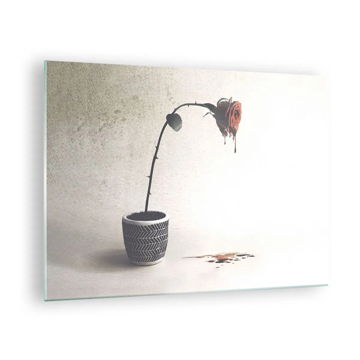 Obraz na skle - Symbolická růže v květináči s kapající barvou - 70x50cm - Rosa dolorosa - Moderní nástěnná dekorace do obývacího pokoje a ložnice ARTTOR