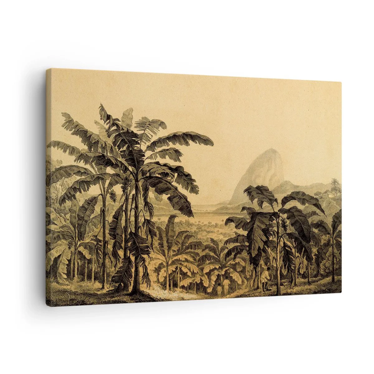 Obraz na plátně - Kresba banánovníků na pozadí tropické krajiny - 70x50cm - V koloniálním stylu - Moderní nástěnná dekorace do obývacího pokoje a ložnice ARTTOR