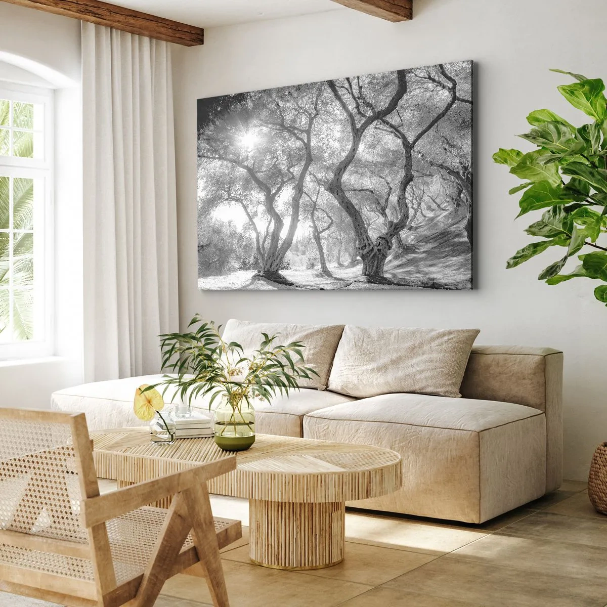 Obraz na plátně - Černobílý pohled na stromy v olivovém háji se slunečními paprsky - 70x50cm - V olivovém háji - Moderní nástěnná dekorace do obývacího pokoje a ložnice ARTTOR