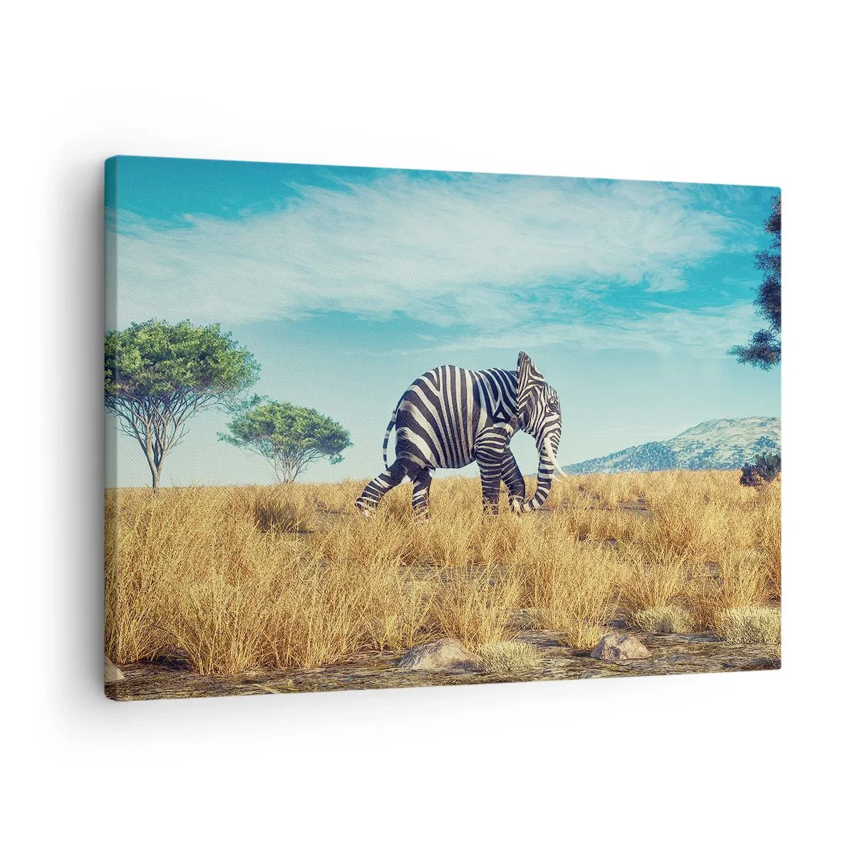 Obraz na plátně - Zebra v africké krajině - 70x50cm - Šedá už není v módě - Moderní nástěnná dekorace do obývacího pokoje a ložnice ARTTOR