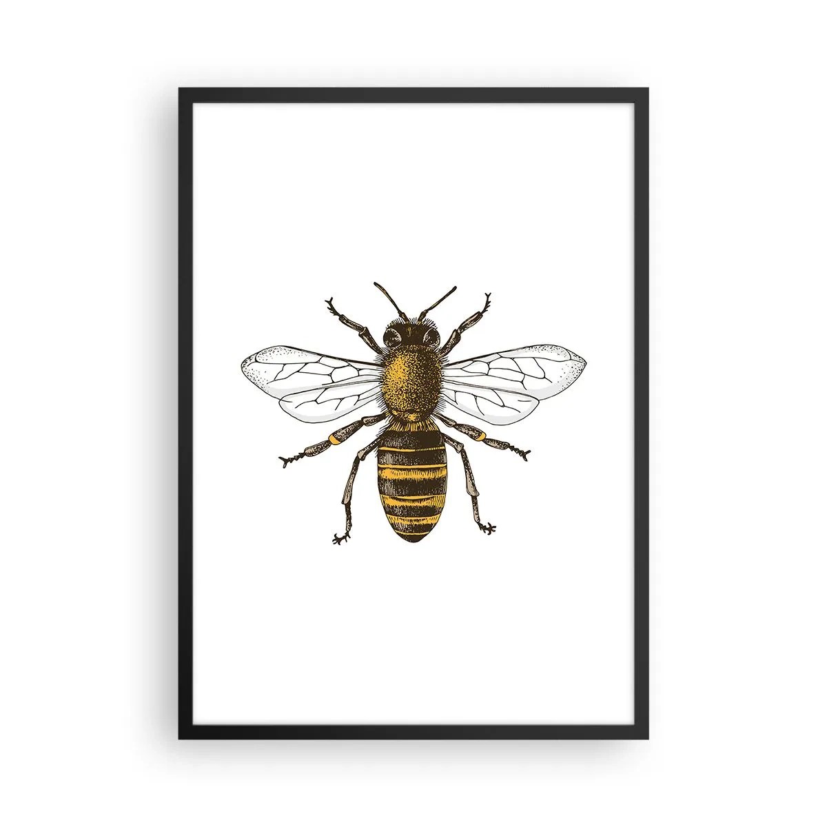 Plakát v černém rámu - Vintage včela detailní ilustrace - 50x70cm - Krásná a dobrá - Moderní nástěnná dekorace do obývacího pokoje a ložnice ARTTOR