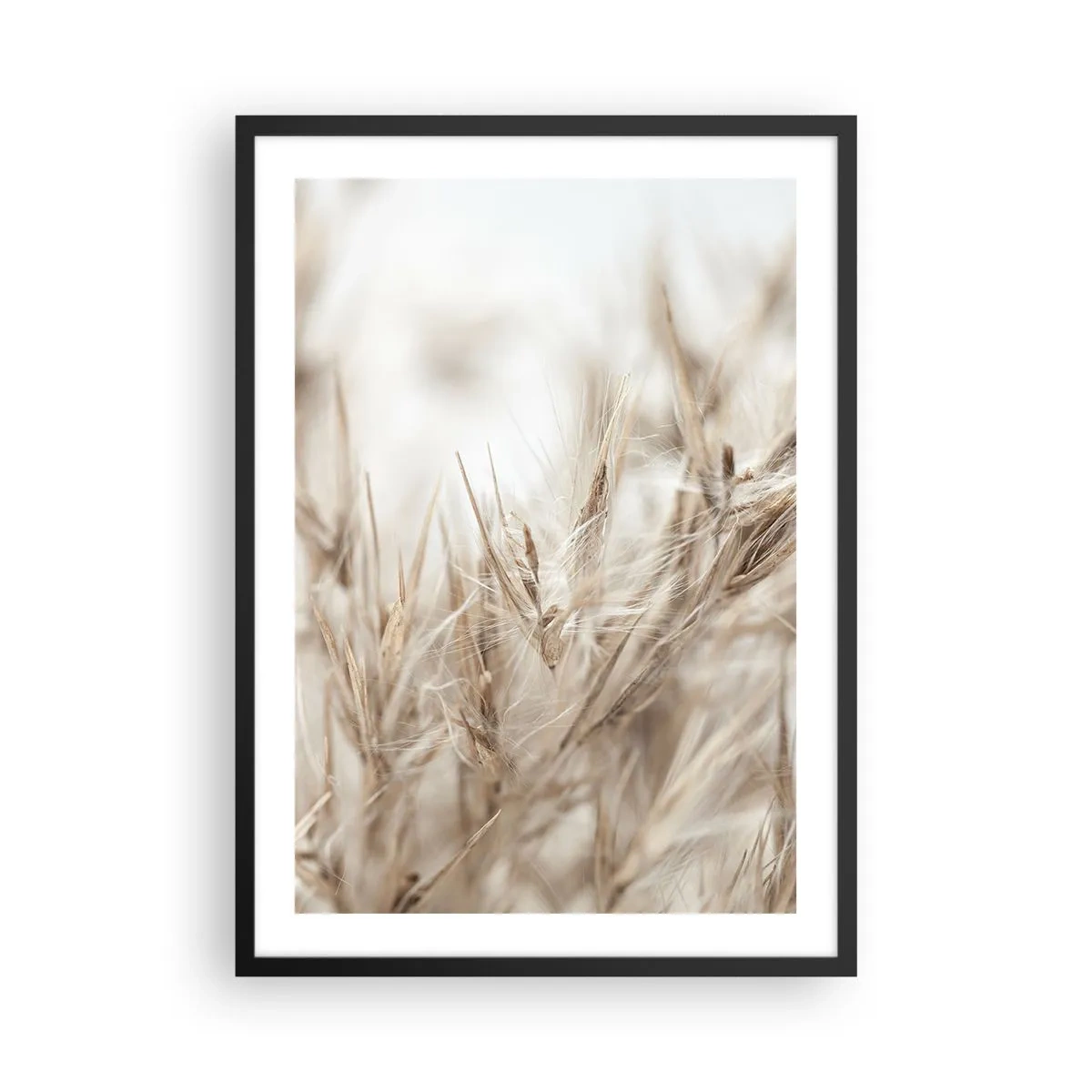 Plakát v černém rámu - Jemné travnaté klasy v béžové barvě - 50x70cm - Louka a vítr - Moderní nástěnná dekorace do obývacího pokoje a ložnice ARTTOR