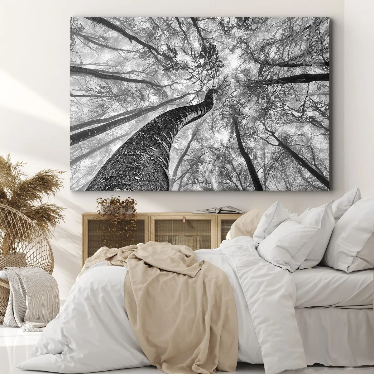 Obraz na plátně - Perspektiva stromů v lese při pohledu zespodu v odstínech šedé - 70x50cm - Závod ke světlu - Moderní nástěnná dekorace do obývacího pokoje a ložnice ARTTOR