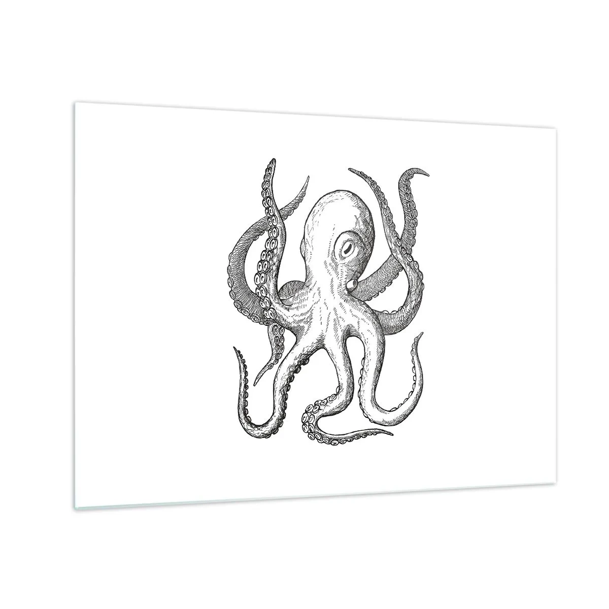 Obraz na skle - Černobílá kresba chobotnice na bílém pozadí - 70x50cm - Tančící s vlnami - Moderní nástěnná dekorace do obývacího pokoje a ložnice ARTTOR