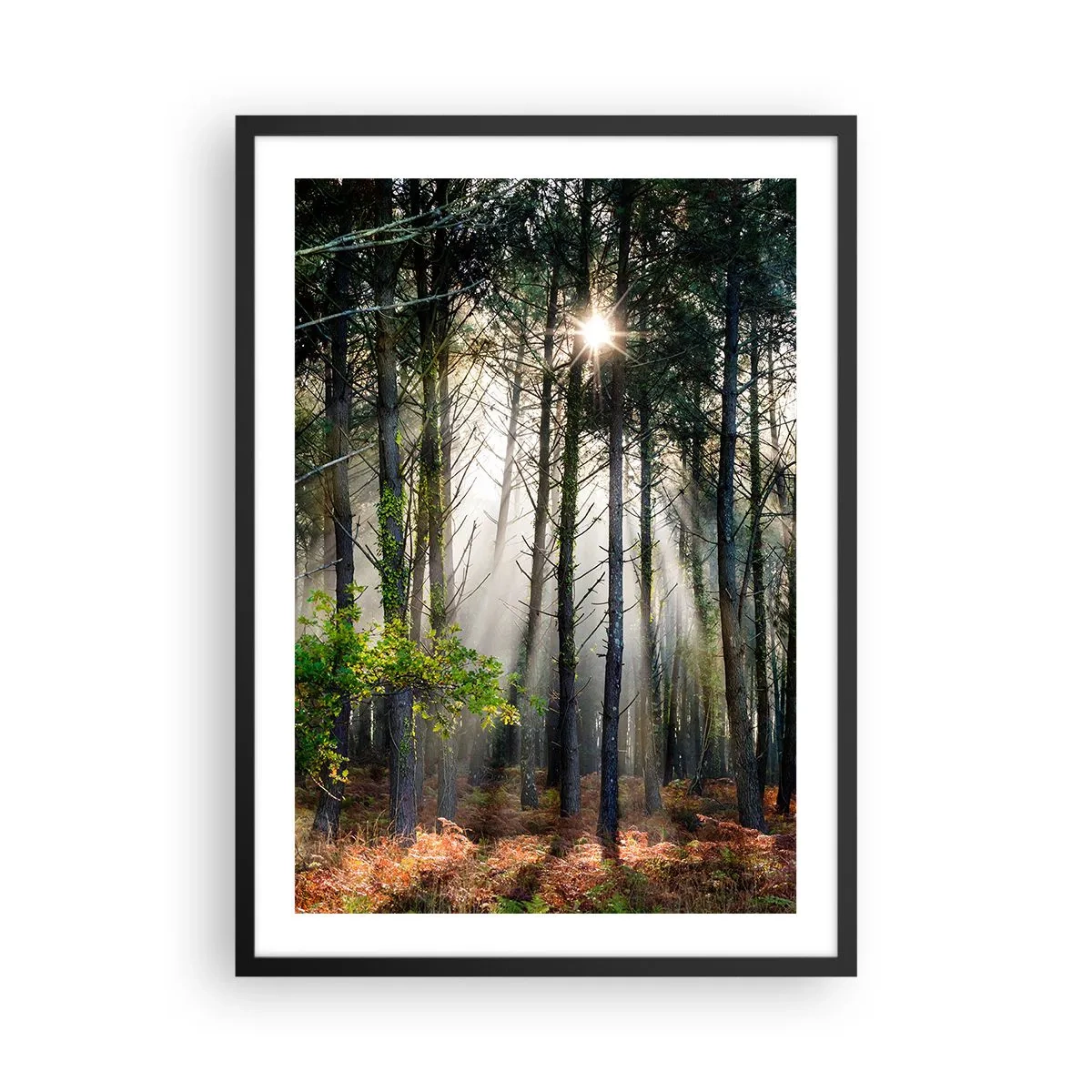 Plakát v černém rámu - Kouzelné sluneční paprsky v lesní scenérii - 50x70cm - Lesní divočina - Moderní nástěnná dekorace do obývacího pokoje a ložnice ARTTOR