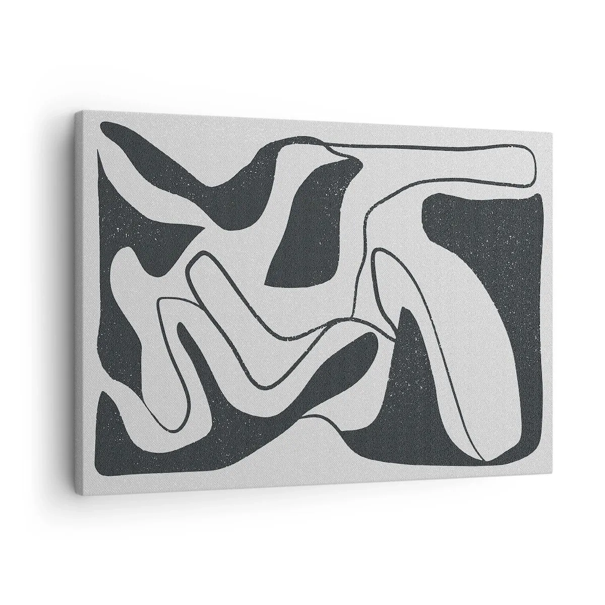 Obraz na plátně - Černobílá abstrakce s organickými tvary - 70x50cm - Abstraktní hra v labyrintu - Moderní nástěnná dekorace do obývacího pokoje a ložnice ARTTOR