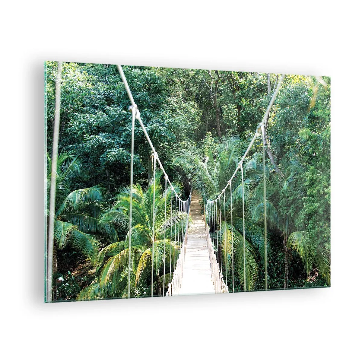 Obraz na skle - Visutý most v tropickém lese - 70x50cm - Welcome to the jungle! - Moderní nástěnná dekorace do obývacího pokoje a ložnice ARTTOR