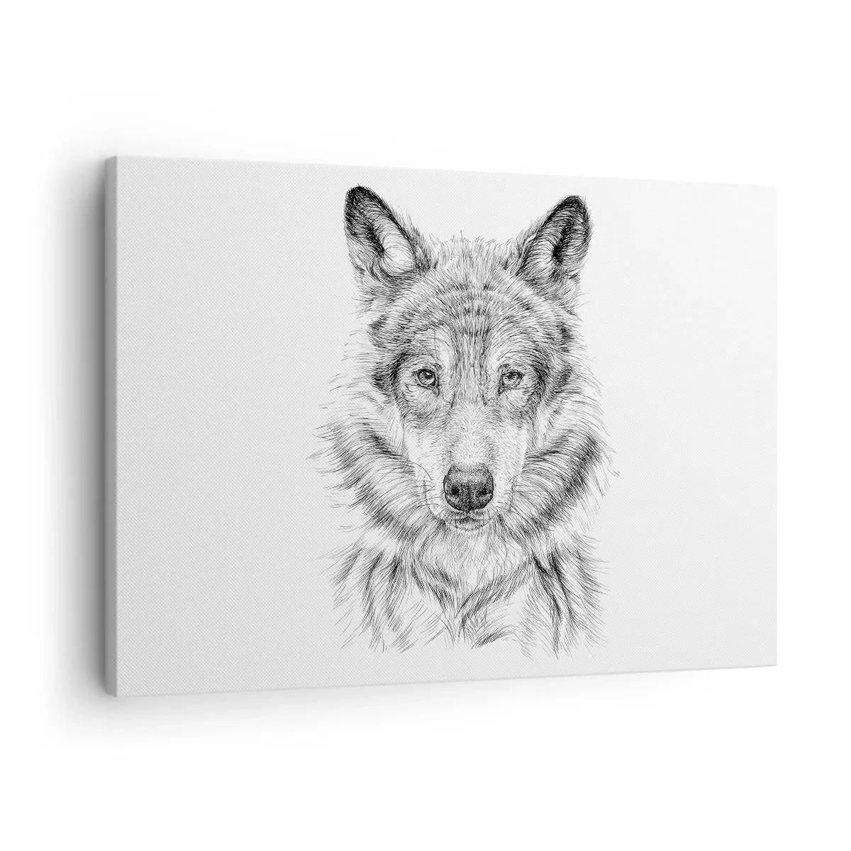 Obraz na plátně - Náčrt vlčí hlavy v monochromatickém stylu na bílém pozadí - 70x50cm - Rozený vůdce - Moderní nástěnná dekorace do obývacího pokoje a ložnice ARTTOR