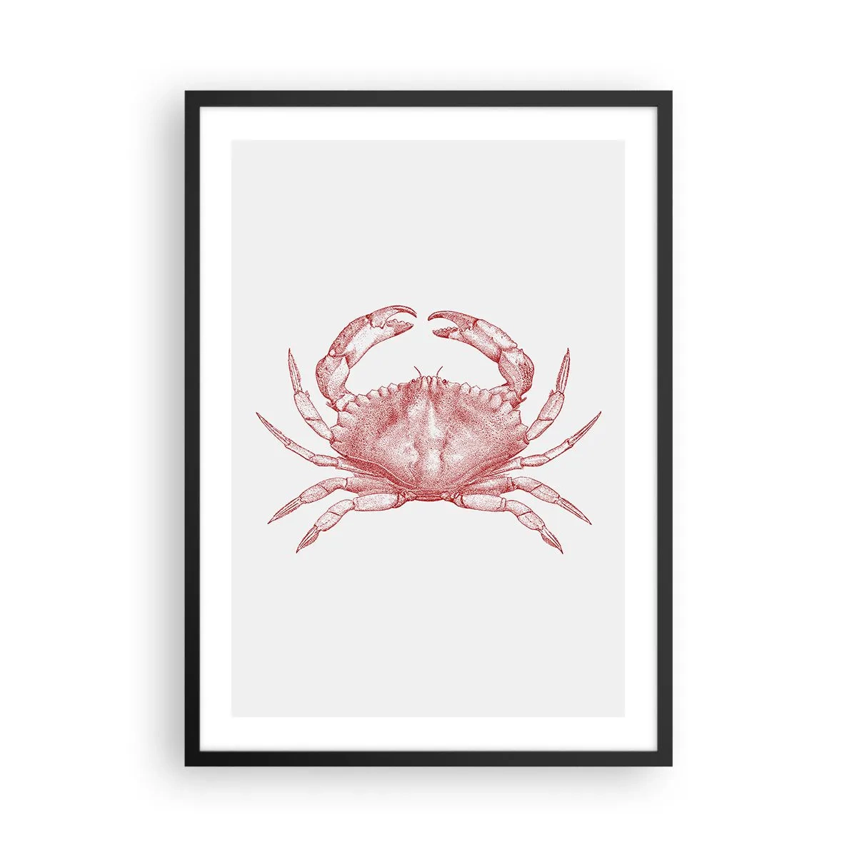 Plakát v černém rámu - Vintage krab kresba na světlém pozadí - 50x70cm - Krab nad kraby - Moderní nástěnná dekorace do obývacího pokoje a ložnice ARTTOR