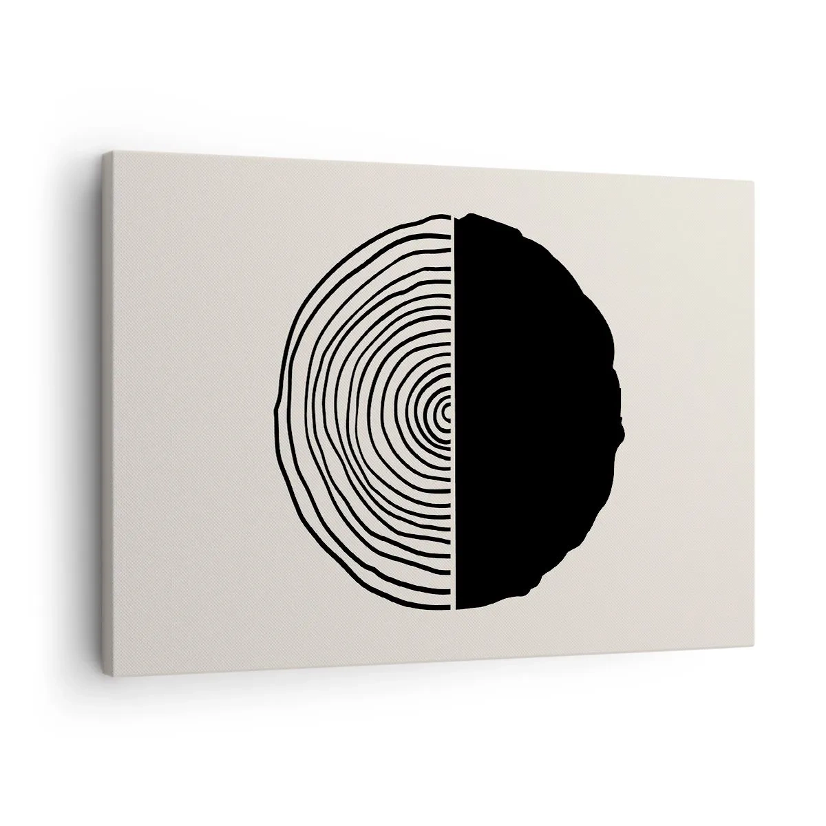 Obraz na plátně - Abstraktní černobílý motiv inspirovaný průřezem dřeva s geometrickým členěním. - 70x50cm - Půl na půl - Moderní nástěnná dekorace do obývacího pokoje a ložnice ARTTOR