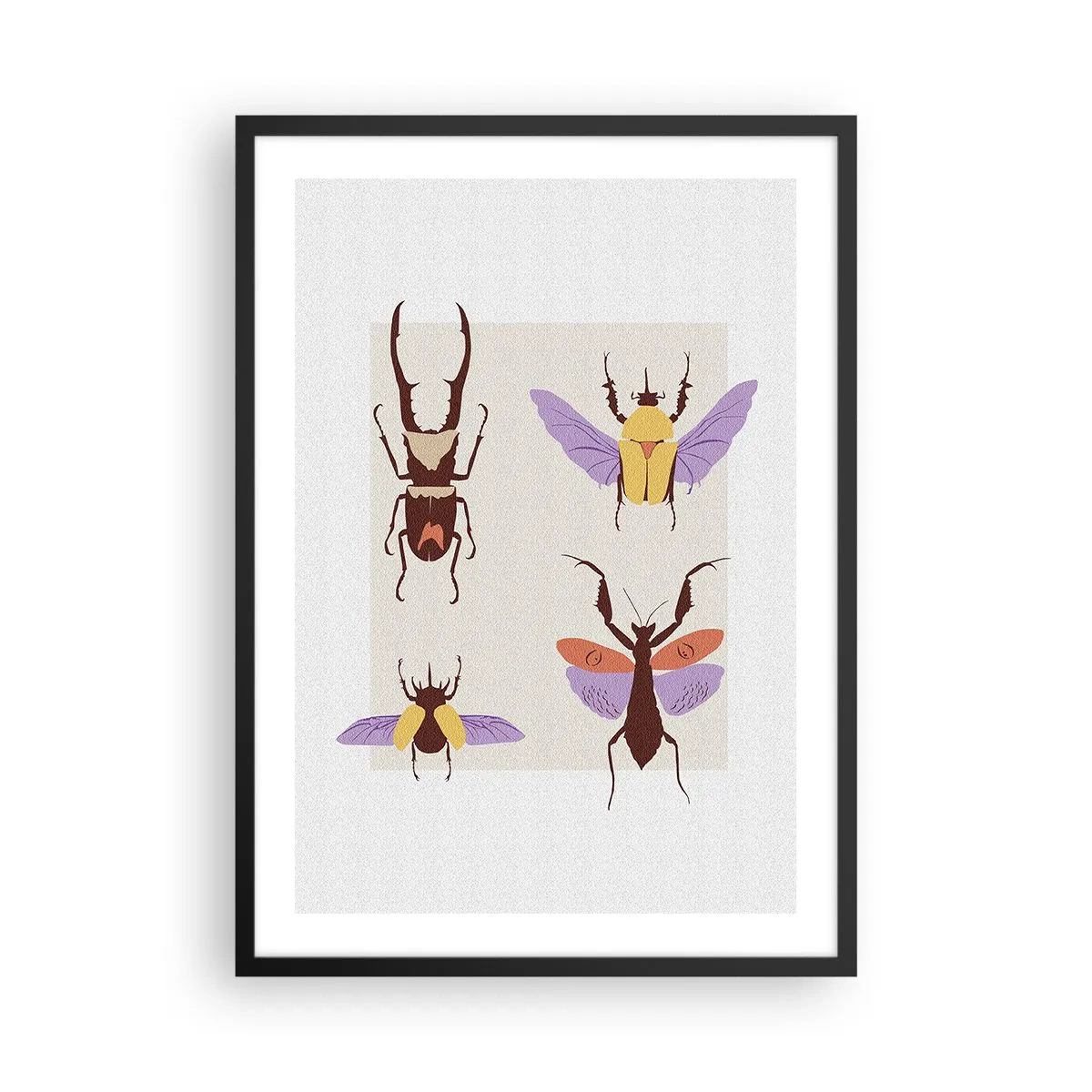 Plakát v černém rámu - Barevní brouci na světlém pozadí - 50x70cm - Hmyzí svět - Moderní nástěnná dekorace do obývacího pokoje a ložnice ARTTOR