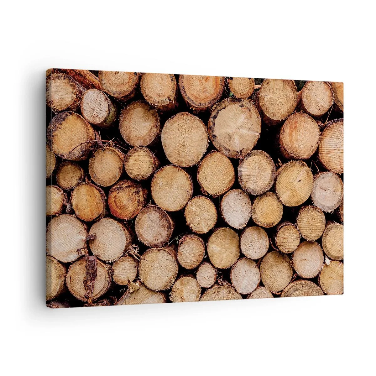 Obraz na plátně - Hromady pokácených kmenů stromů uspořádané v harmonii - 70x50cm - Nový začátek - Moderní nástěnná dekorace do obývacího pokoje a ložnice ARTTOR