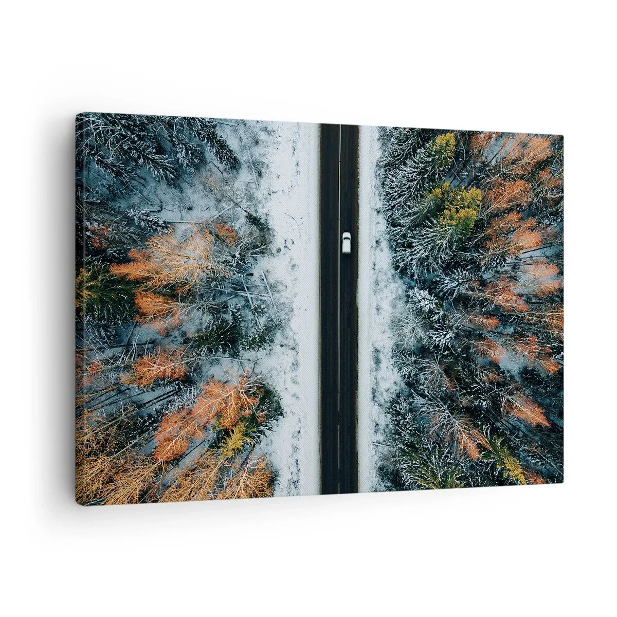 Obraz na plátně - Cesta zimním lesem z ptačí perspektivy - 70x50cm - Přes zimní les - Moderní nástěnná dekorace do obývacího pokoje a ložnice ARTTOR