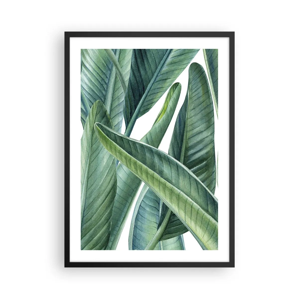Plakát v černém rámu - Zelené banánové listy ve stylu akvarelu - 50x70cm - Prostě zelená - Moderní nástěnná dekorace do obývacího pokoje a ložnice ARTTOR