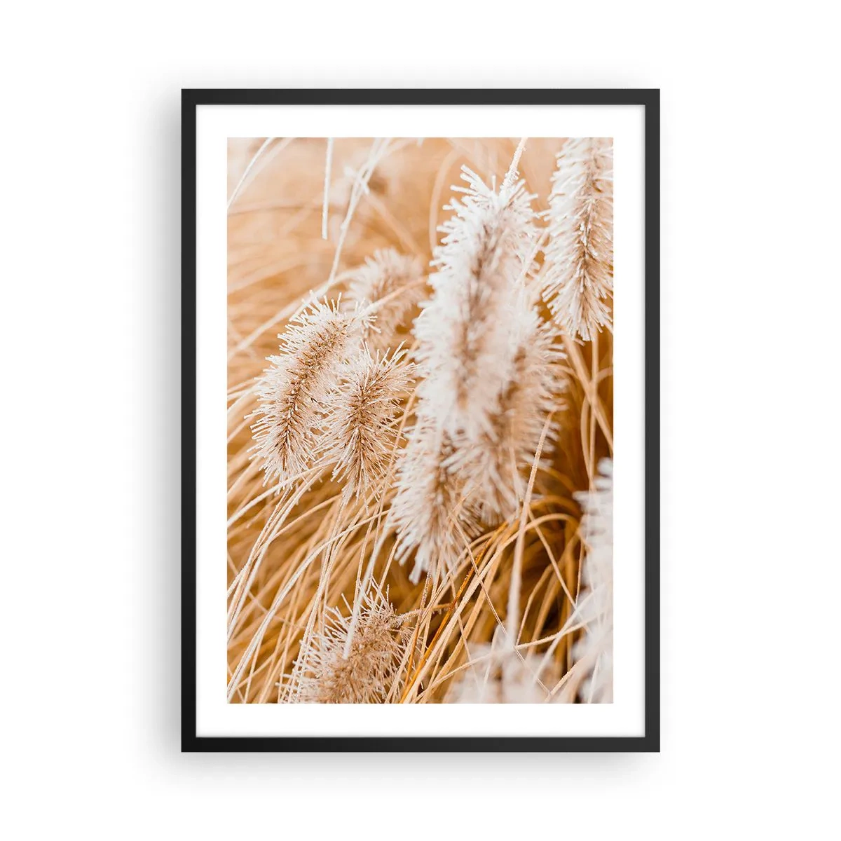 Plakát v černém rámu - Jemné travnaté klasy v pastelových odstínech béžové - 50x70cm - Zlaté šustění travin - Moderní nástěnná dekorace do obývacího pokoje a ložnice ARTTOR